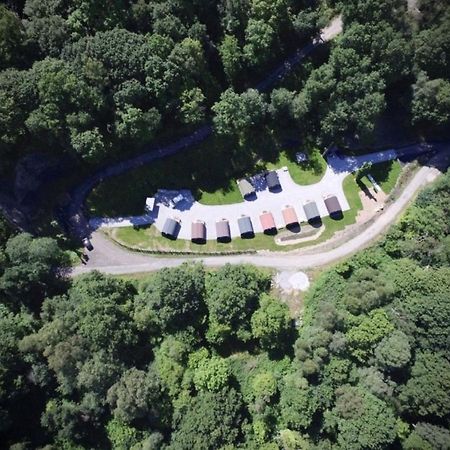 Vila Forest Pod 4 Pet Friendly Neath Exteriér fotografie
