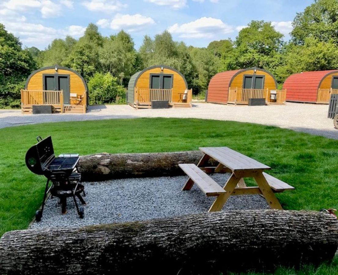 Vila Forest Pod 4 Pet Friendly Neath Exteriér fotografie