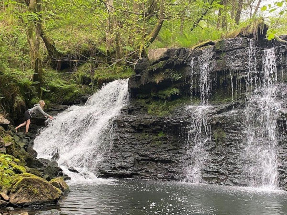 Vila Forest Pod 4 Pet Friendly Neath Exteriér fotografie